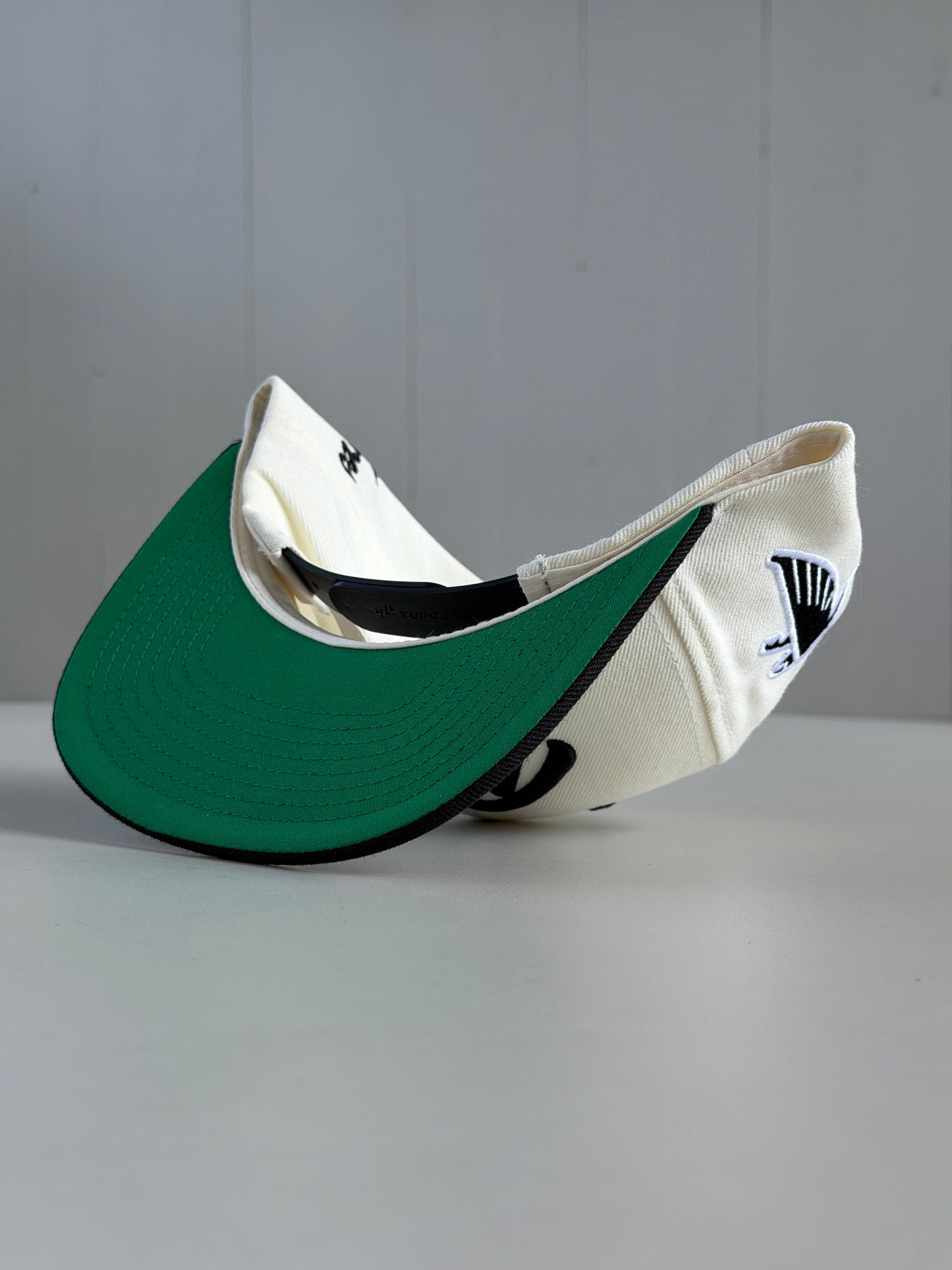 Dirty Birds Snapback